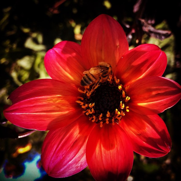 2018-07-01 16.37.37-4