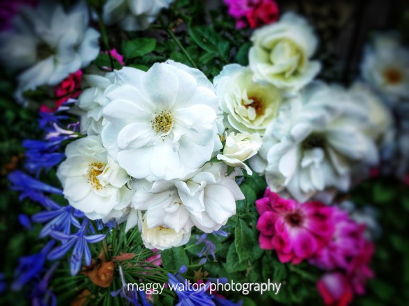 2018-08-11 13.22.42-1