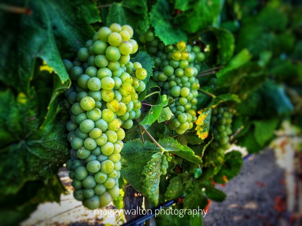 2018-08-19 17.59.43-4